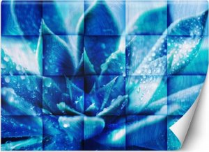 Feeby Fototapeta, Niebieski kwiat - 100x70 1