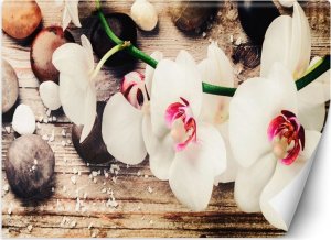 Feeby Fototapeta, Orchidea zen feng shui - 150x105 1