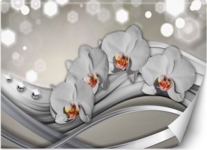 Feeby Fototapeta, Orchidea abstrakcja - 100x70 1