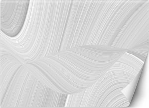 Feeby Fototapeta, Rozmazana biała tekstura 3D - 100x70 1