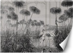 Feeby Fototapeta, Ptaki żurawie trawy staw szary - 100x70 1