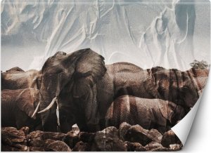 Feeby Fototapeta, Słonie w stadzie - 250x175 1