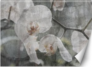Feeby Fototapeta, Orchidea vintage - 150x105 1