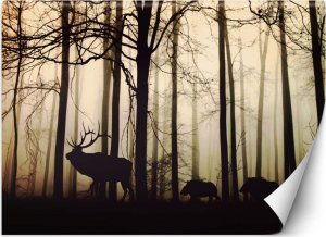 Feeby Fototapeta, Zwierzęta w lesie - 100x70 1
