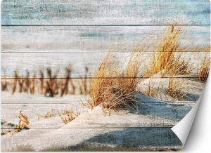 Feeby Fototapeta, Wydmy plaża na drewnie - 250x175 1