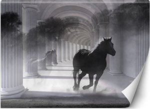 Feeby Fototapeta, Tunel biegnący koń efekt 3D - 250x175 1