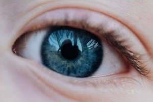 Obiektyw Venus Optics Obiektyw Venus Optics Laowa 65 mm f/2,8 2x Ultra Macro APO do Canon RF 12