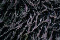 Obiektyw Venus Optics Obiektyw Venus Optics Laowa 65 mm f/2,8 2x Ultra Macro APO do Sony E 9