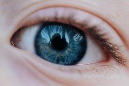 Obiektyw Venus Optics Obiektyw Venus Optics Laowa 65 mm f/2,8 2x Ultra Macro APO do Sony E 10