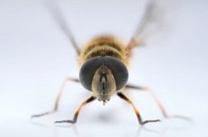 Obiektyw Venus Optics Obiektyw Venus Optics Laowa 90 mm f/2.8 Ultra Macro APO do Canon RF 22