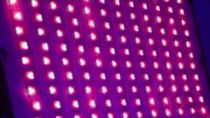 Lampa studyjna Lampa LED Amaran F21c - V-mount 43