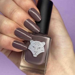 All Tigers Nail Polish 108 Embrace The Change 11 ml For Women 2