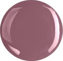 All Tigers Nail Polish 108 Embrace The Change 11 ml For Women 3