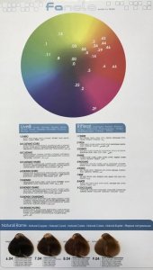 Fanola , Crema Colore, Permanent Hair Dye, 5.6 Light Chestnut Red, 100 ml For Women 3