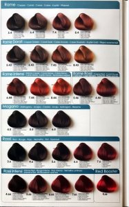 Fanola , Crema Colore, Permanent Hair Dye, 4.6 Chestnut Red, 100 ml For Women 8