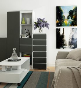 Fabryka Mebli Akord Komoda CL6 40 cm 6 szuflad - biała-grafit szary 6