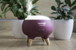 Dyfuzor zapachowy Concept Dyfuzor zapachu Concept Perfect Air Berry DF1011 4