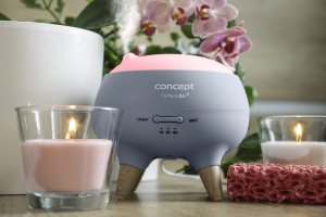 Dyfuzor zapachowy Concept Dyfuzor zapachu Perfect Air Marine DF1010 2