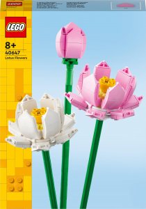 LEGO Exclusive Kwiaty lotosu (40647) 1