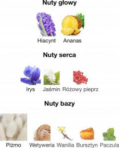 Xerjoff Perfumy Unisex Xerjoff EDP V Accento 100 ml 13