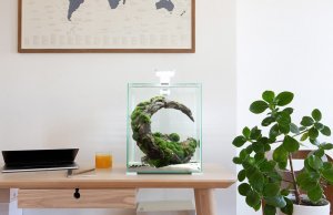 Aquael Zestaw Shrimp Set Smart Day & Night 20 l - biały 3