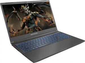 Laptop Dream Machines RG4060-15PL22 i5-13500H / 16 GB / 500 GB / RTX 4060 / 144 Hz 2