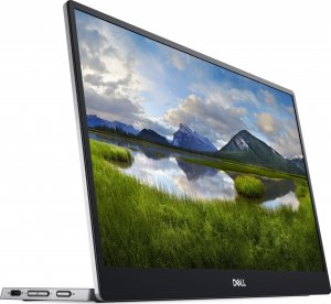 Monitor Dell Przenośny P1424H (210-BHQQ) 3