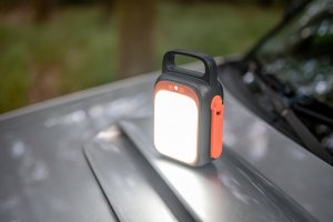 Newell Asvala Crank 83.2 Wh 3