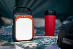 Newell Asvala Crank 83.2 Wh 7