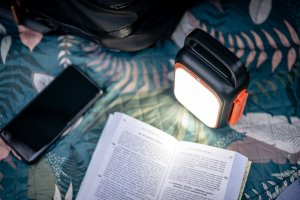 Newell Asvala Crank 83.2 Wh 8