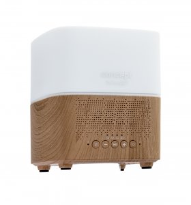 Dyfuzor zapachowy Concept Dyfuzor zapachu Perfect Air Light Wood DF2010 8