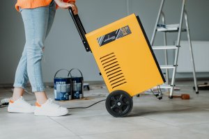 Lehmann Osuszacz powietrza GO-BI 5