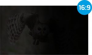 Filtr Natec OWL 27" prywatyzujący (NFP-2118) 5