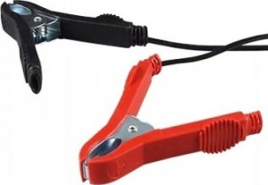 Sena Ładowarka z mikroprocesorem 6V 12V 4A SENA 6