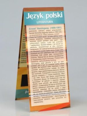 HENRY ZakĹ‚adka magnetyczna JÄ™zyk polski literatura 1