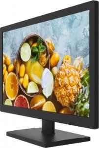 Monitor Hikvision DS-D5019QE-B 4