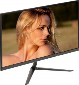 Monitor VM-2411W-P 1