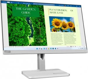 Monitor Lenovo  L24m-40 (67A9UAC3EU) 2