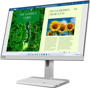 Monitor Lenovo  L24m-40 (67A9UAC3EU) 3
