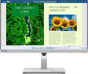 Monitor Lenovo  L24m-40 (67A9UAC3EU) 5