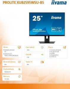 Monitor iiyama ProLite XUB2595WSU-B5 17