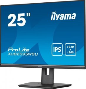 Monitor iiyama ProLite XUB2595WSU-B5 5