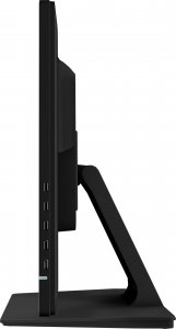 Monitor iiyama ProLite T2452MSC-B1 5