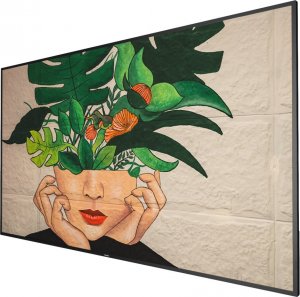 Monitor Philips D-Line 86BDL4511D/00 3