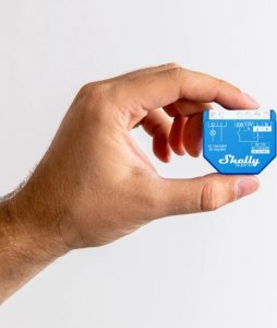 Shelly Shelly Qubino Wave 1 2