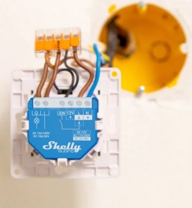 Shelly Shelly Qubino Wave 1 4