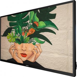 Monitor Philips D-Line 43BDL4511D/00 2