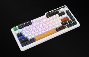 Klawiatura Royal Kludge Klawiatura mechaniczna Royal Kludge KZZI K75 pro RGB, Eternity Switch (czarno-biała) 4