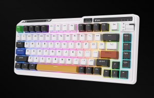 Klawiatura Royal Kludge Klawiatura mechaniczna Royal Kludge KZZI K75 pro RGB, Eternity Switch (czarno-biała) 5