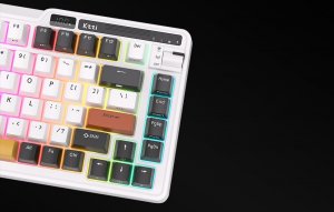 Klawiatura Royal Kludge Klawiatura mechaniczna Royal Kludge KZZI K75 pro RGB, Eternity Switch (czarno-biała) 7